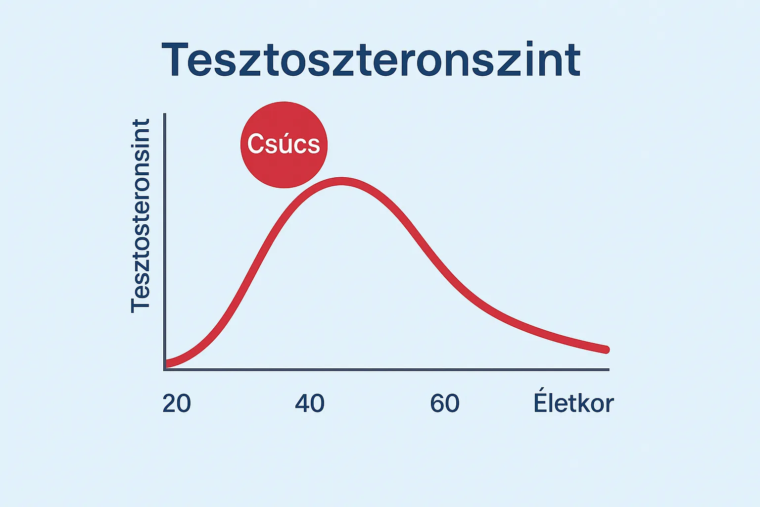 Tesztoszteron szint változása kor szerint Grafikon, amely a tesztoszteron szint csökkenését mutatja az életkor előrehaladtával.